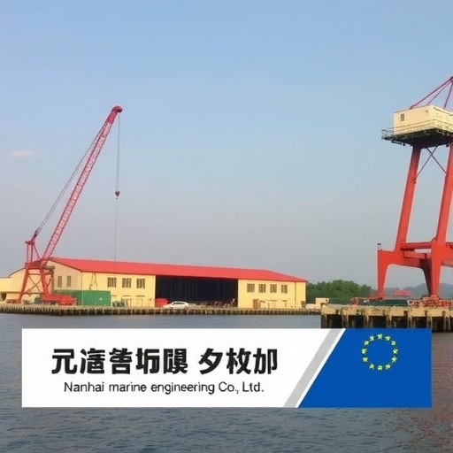 中天科技全資子公司擬投資2.91億設(shè)立南海海洋工程有限公司 持股51%(圖1)