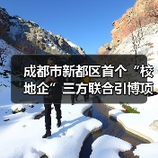 成都市新都區(qū)首個(gè)“校地企”三方聯(lián)合引博項(xiàng)目通過期中評(píng)估（圖3）