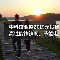中科磁業(yè)擬20億元投建高性能釹鐵硼、節(jié)能電機磁瓦及粘結磁項目（圖4）