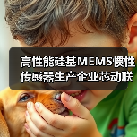高性能硅基MEMS慣性傳感器生產(chǎn)企業(yè)芯動(dòng)聯(lián)科上交所科創(chuàng)板上市（圖4）
