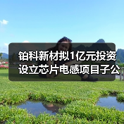 鉑科新材擬1億元投資設(shè)立芯片電感項目子公司(圖3) 鉑科新材擬1億元投資設(shè)立芯片電感項目子公司(圖3)
