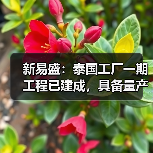 新易盛：泰國(guó)工廠一期工程已建成，具備量產(chǎn)條件（圖4）