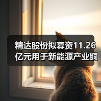 精達(dá)股份擬募資11.26億元用于新能源產(chǎn)業(yè)銅基電磁線等項目（圖2）
