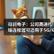 得潤電子:公司高速傳輸連接器可適用于5G/6G通訊網(wǎng)絡(圖3) 得潤電子:公司高速傳輸連接器可適用于5G/6G通訊網(wǎng)絡(圖3)