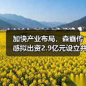 加快產(chǎn)業(yè)布局，森霸傳感擬出資2.9億元設(shè)立并購基金（圖3）