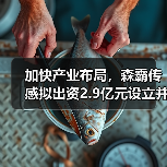 加快產(chǎn)業(yè)布局，森霸傳感擬出資2.9億元設(shè)立并購基金（圖2）