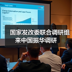 國(guó)家發(fā)改委聯(lián)合調(diào)研組來(lái)中國(guó)振華調(diào)研(圖3) 國(guó)家發(fā)改委聯(lián)合調(diào)研組來(lái)中國(guó)振華調(diào)研(圖3)