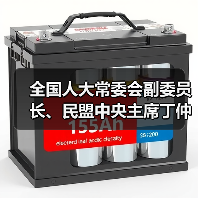 全國人大常委會副委員長、民盟中央主席丁仲禮到國光電器調(diào)研（圖3）