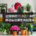 總預(yù)算超11.8億！中國(guó)移動(dòng)啟動(dòng)蝶形光纜集采（圖3）