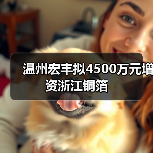 溫州宏豐擬4500萬元增資浙江銅箔（圖4）