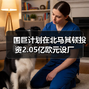 國(guó)巨計(jì)劃在北馬其頓投資2.05億歐元設(shè)廠(圖3) 國(guó)巨計(jì)劃在北馬其頓投資2.05億歐元設(shè)廠(圖3)