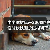 中宇磁材年產(chǎn)2000噸高性能釹鐵硼永磁材料項(xiàng)目開工（圖3）