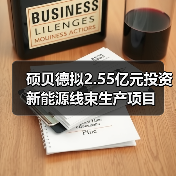 碩貝德擬2.55億元投資新能源線束生產(chǎn)項(xiàng)目（圖4）