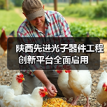 陜西先進光子器件工程創(chuàng)新平臺全面啟用(圖2) 陜西先進光子器件工程創(chuàng)新平臺全面啟用(圖2)