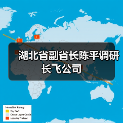 湖北省副省長陳平調(diào)研長飛公司（圖2）