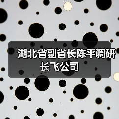 湖北省副省長陳平調(diào)研長飛公司（圖4）