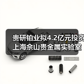 貴研鉑業(yè)擬4.2億元投資上海佘山貴金屬實驗室創(chuàng)新平臺及新材料產(chǎn)業(yè)園(圖4) 貴研鉑業(yè)擬4.2億元投資上海佘山貴金屬實驗室創(chuàng)新平臺及新材料產(chǎn)業(yè)園(圖4)