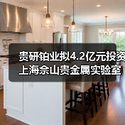 貴研鉑業(yè)擬4.2億元投資上海佘山貴金屬實驗室創(chuàng)新平臺及新材料產(chǎn)業(yè)園(圖2) 貴研鉑業(yè)擬4.2億元投資上海佘山貴金屬實驗室創(chuàng)新平臺及新材料產(chǎn)業(yè)園(圖2)