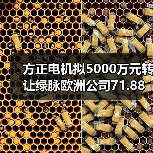 方正電機(jī)擬5000萬元轉(zhuǎn)讓綠脈歐洲公司71.88%股權(quán)（圖2）