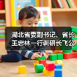 湖北省委副書記、省長王忠林一行調(diào)研長飛公司（圖4）