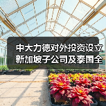 中大力德對外投資設立新加坡子公司及泰國全資孫公司(圖2) 中大力德對外投資設立新加坡子公司及泰國全資孫公司(圖2)