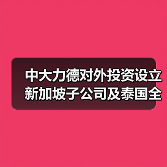 中大力德對外投資設立新加坡子公司及泰國全資孫公司(圖4) 中大力德對外投資設立新加坡子公司及泰國全資孫公司(圖4)
