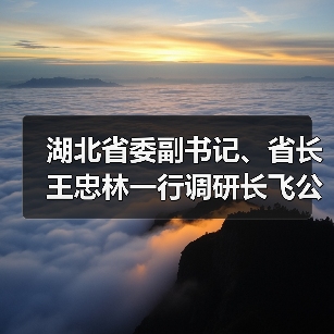 湖北省委副書記、省長王忠林一行調(diào)研長飛公司（圖2）