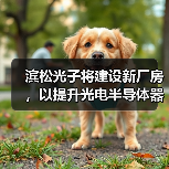 濱松光子將建設新廠房，以提升光電半導體器件的后道工序能力（圖3）