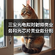三安光電擬對(duì)射頻類業(yè)務(wù)和光芯片類業(yè)務(wù)分別進(jìn)行整合(圖3) 三安光電擬對(duì)射頻類業(yè)務(wù)和光芯片類業(yè)務(wù)分別進(jìn)行整合(圖3)