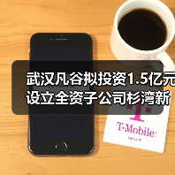 武漢凡谷擬投資1.5億元設(shè)立全資子公司杉灣新陶瓷(圖3) 武漢凡谷擬投資1.5億元設(shè)立全資子公司杉灣新陶瓷(圖3)