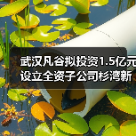 武漢凡谷擬投資1.5億元設(shè)立全資子公司杉灣新陶瓷(圖4) 武漢凡谷擬投資1.5億元設(shè)立全資子公司杉灣新陶瓷(圖4)