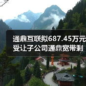 通鼎互聯(lián)擬687.45萬元受讓子公司通鼎寬帶剩余1.27%股權(quán)(圖4) 通鼎互聯(lián)擬687.45萬元受讓子公司通鼎寬帶剩余1.27%股權(quán)(圖4)