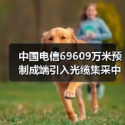 中國電信69609萬米預(yù)制成端引入光纜集采中標(biāo)公示：12家廠商入圍（圖3）