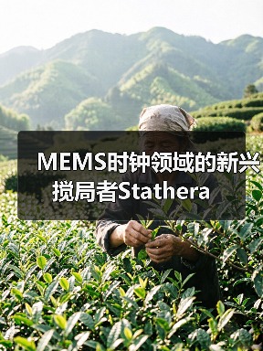 MEMS時(shí)鐘領(lǐng)域的新興攪局者Stathera(圖3) MEMS時(shí)鐘領(lǐng)域的新興攪局者Stathera(圖3)
