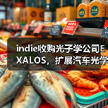 indie收購光子學(xué)公司EXALOS，擴(kuò)展汽車光學(xué)與傳感業(yè)務(wù)（圖4）