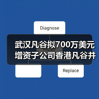 武漢凡谷擬700萬(wàn)美元增資子公司香港凡谷并在越南設(shè)立子公司（圖2）
