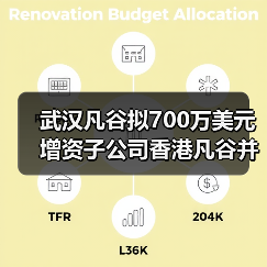 武漢凡谷擬700萬(wàn)美元增資子公司香港凡谷并在越南設(shè)立子公司（圖4）