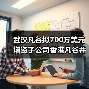武漢凡谷擬700萬(wàn)美元增資子公司香港凡谷并在越南設(shè)立子公司（圖3）