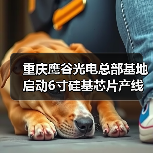 重慶鷹谷光電總部基地啟動(dòng)6寸硅基芯片產(chǎn)線建設(shè)(圖4) 重慶鷹谷光電總部基地啟動(dòng)6寸硅基芯片產(chǎn)線建設(shè)(圖4)