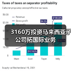 3160萬投資馬來西亞子公司拓國際業(yè)務(wù)（圖3）