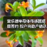 富樂德半導體傳感器項目簽約 投產將助產值達20億（圖4）