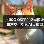 400G QSFP112光模塊量產(chǎn)交付引領(lǐng)AI大模型光通信創(chuàng)新(圖3) 400G QSFP112光模塊量產(chǎn)交付引領(lǐng)AI大模型光通信創(chuàng)新(圖3)