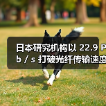 日本研究機(jī)構(gòu)以 22.9 Pb / s 打破光纖傳輸速度紀(jì)錄(圖4) 日本研究機(jī)構(gòu)以 22.9 Pb / s 打破光纖傳輸速度紀(jì)錄(圖4)