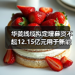 華菱線纜擬定增募資不超12.15億元用于新能源用電纜等項(xiàng)目(圖4) 華菱線纜擬定增募資不超12.15億元用于新能源用電纜等項(xiàng)目(圖4)
