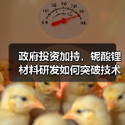 政府投資加持，鈮酸鋰材料研發(fā)如何突破技術(shù)瓶頸？（圖3）