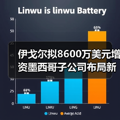 伊戈爾擬8600萬美元增資墨西哥子公司布局新能源基地(圖1) 伊戈爾擬8600萬美元增資墨西哥子公司布局新能源基地(圖1)