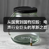 從國(guó)營(yíng)到國(guó)有控股:電聲行業(yè)巨頭的革新之路(圖3) 從國(guó)營(yíng)到國(guó)有控股:電聲行業(yè)巨頭的革新之路(圖3)