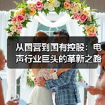 從國(guó)營(yíng)到國(guó)有控股:電聲行業(yè)巨頭的革新之路(圖4) 從國(guó)營(yíng)到國(guó)有控股:電聲行業(yè)巨頭的革新之路(圖4)