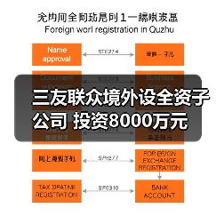 三友聯(lián)眾境外設(shè)全資子公司 投資8000萬元(圖1) 三友聯(lián)眾境外設(shè)全資子公司 投資8000萬元(圖1)
