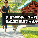 亨通光電收購印尼電纜企業(yè)股權(quán) 推進(jìn)東南亞布局(圖4) 亨通光電收購印尼電纜企業(yè)股權(quán) 推進(jìn)東南亞布局(圖4)